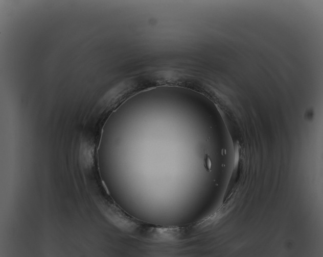 X0000093490188200710191235