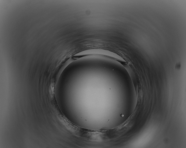 X0000093490190200710191235