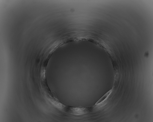 X0000093490191200710191235