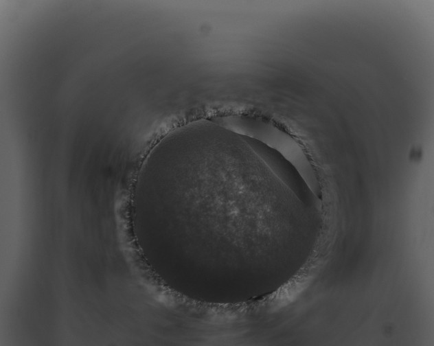 X0000093490192200710191235