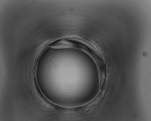 X0000093490193200710191234