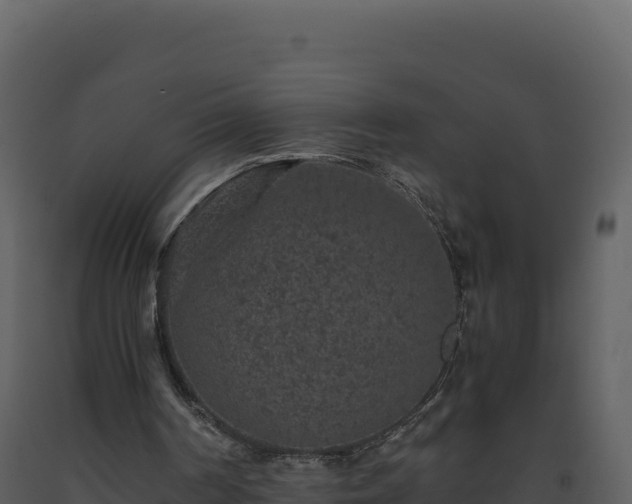 X0000093490194200710191234