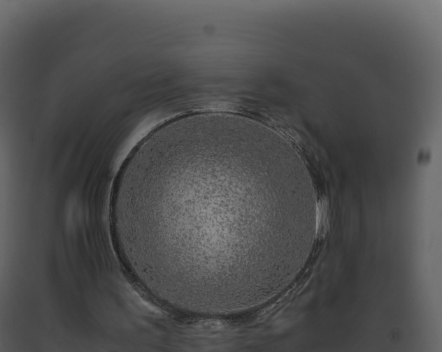 X0000093490195200710191234