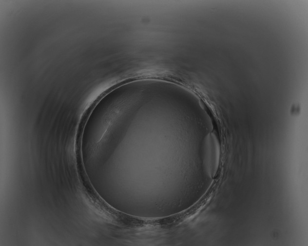 X0000093490196200710191234