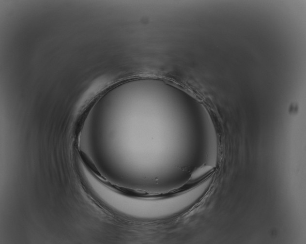 X0000093490197200710191234