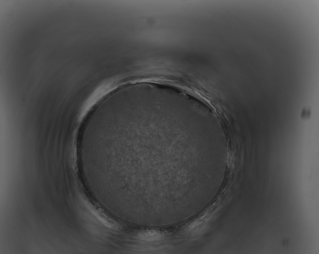 X0000093490198200710191234