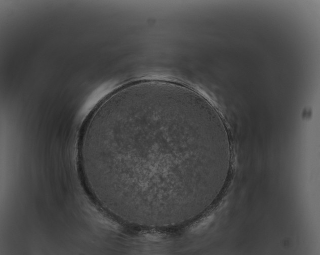 X0000093490199200710191234