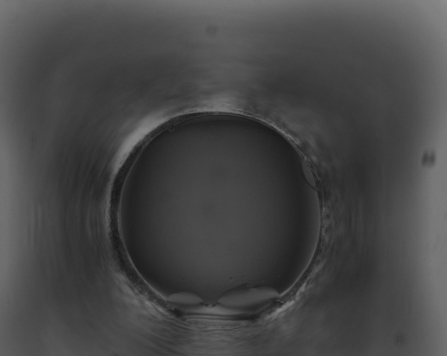 X0000093490200200710191234