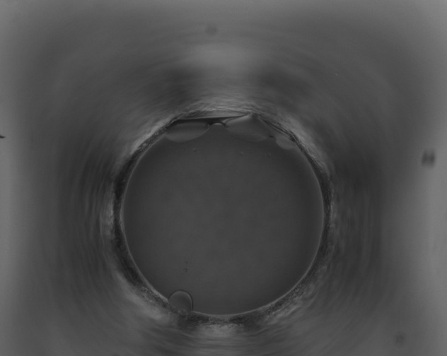 X0000093490202200710191234