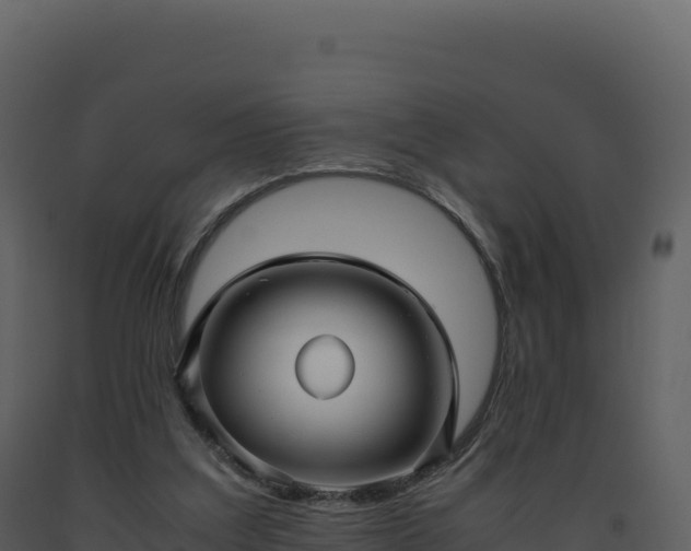 X0000093490203200710191234