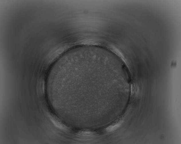 X0000093490205200710191234