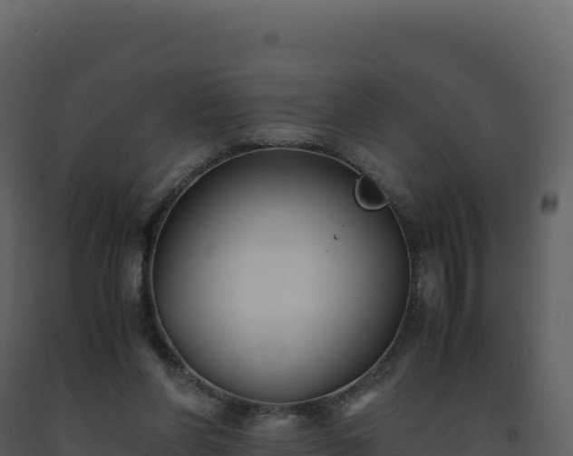 X0000093490206200710191234