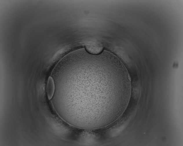 X0000093490207200710191234