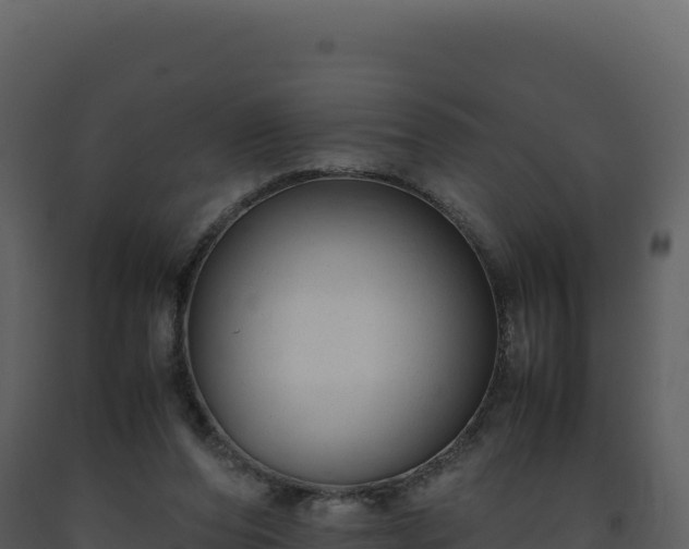 X0000093490208200710191234