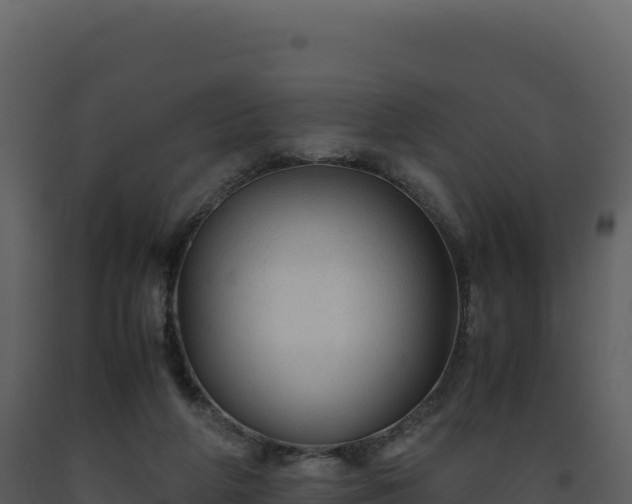 X0000093490210200710191234