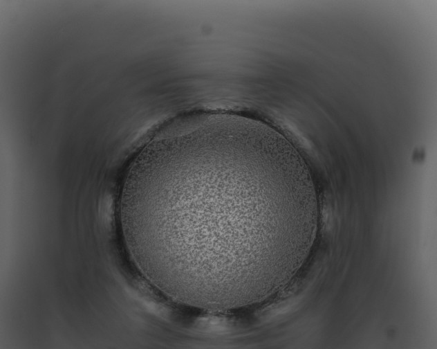 X0000093490211200710191234