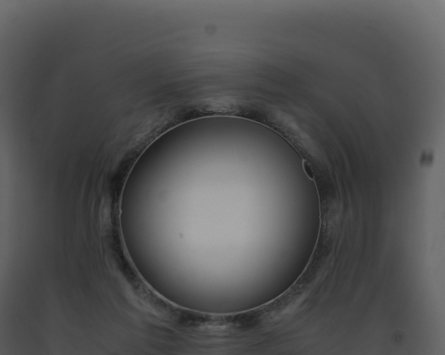 X0000093490213200710191234