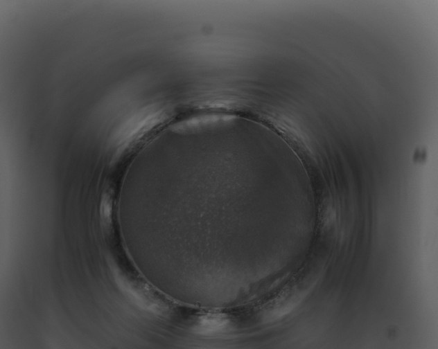 X0000093490214200710191234