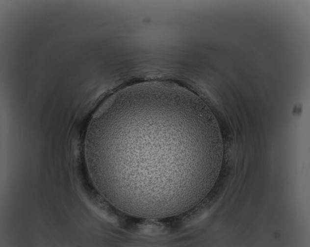 X0000093490215200710191234