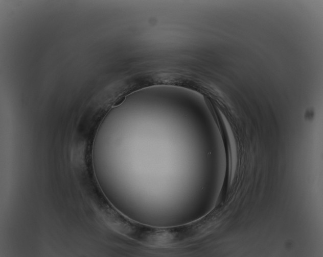 X0000093490217200710191234