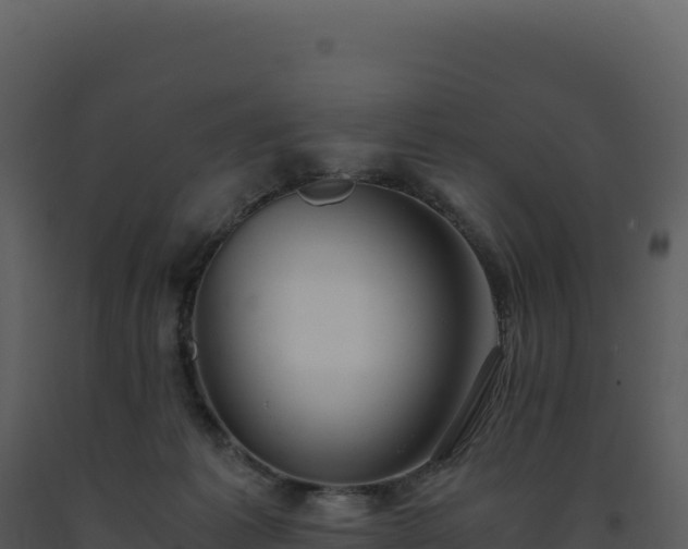 X0000093490221200710191234