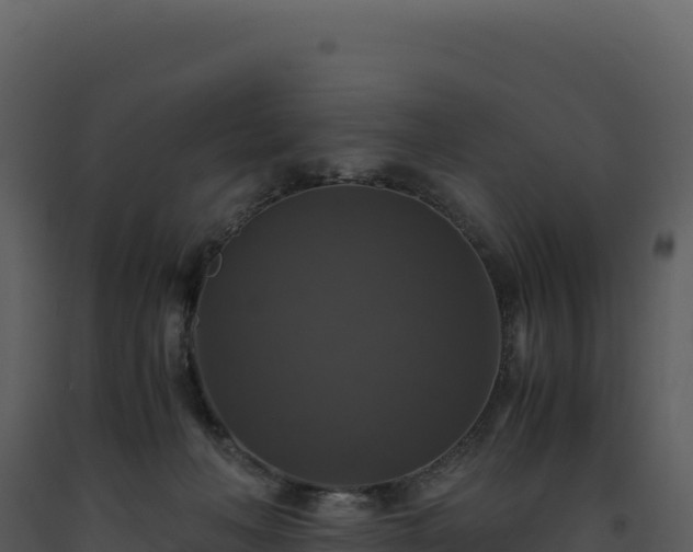 X0000093490222200710191234