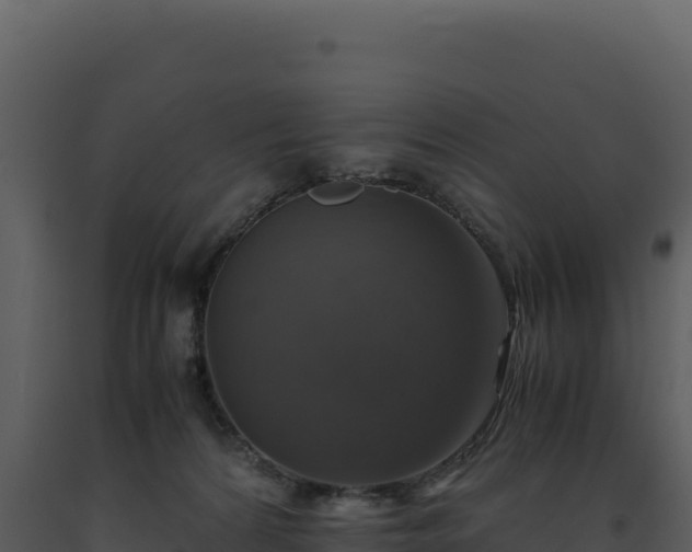 X0000093490224200710191234