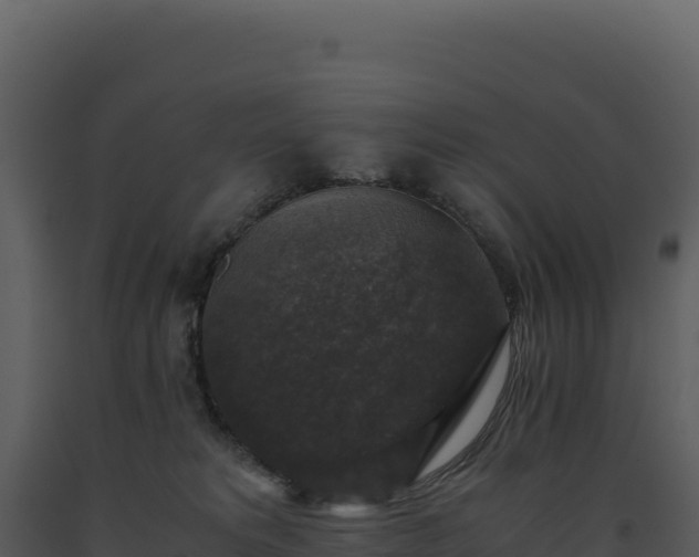 X0000093490229200710191234