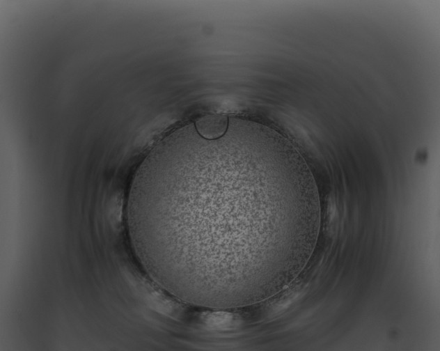 X0000093490230200710191234