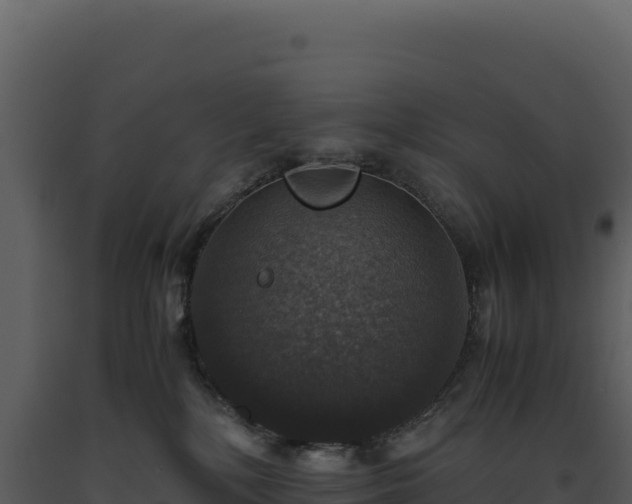 X0000093490232200710191234