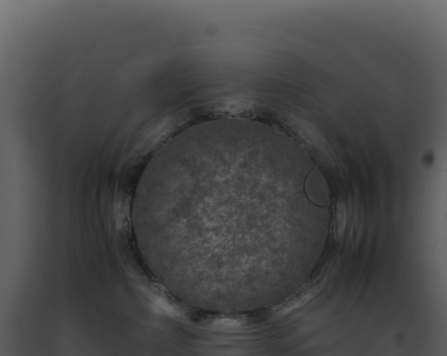 X0000093490236200710191234