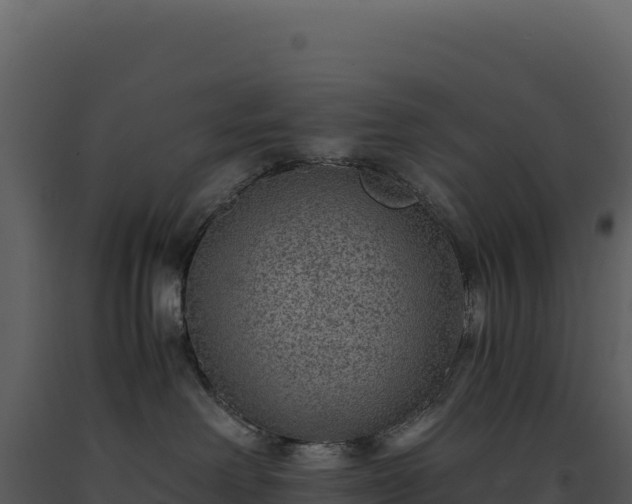 X0000093490238200710191234