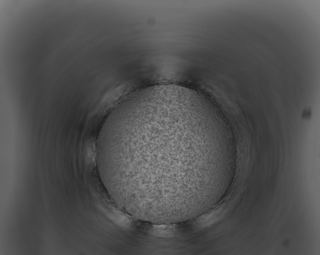 X0000093490240200710191234