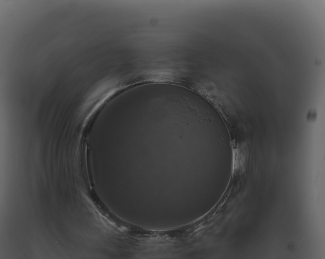 X0000093490243200710191233