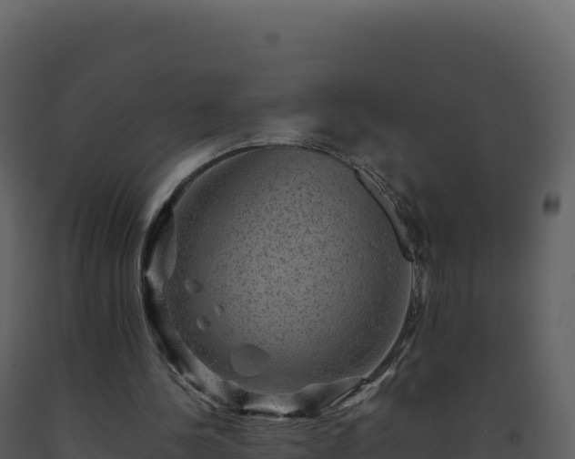 X0000093490244200710191233