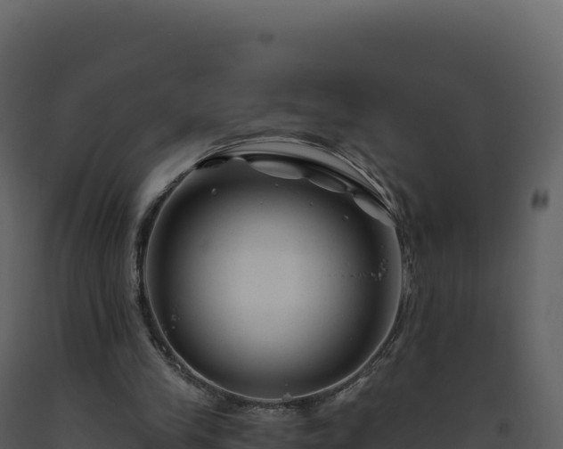 X0000093490245200710191233