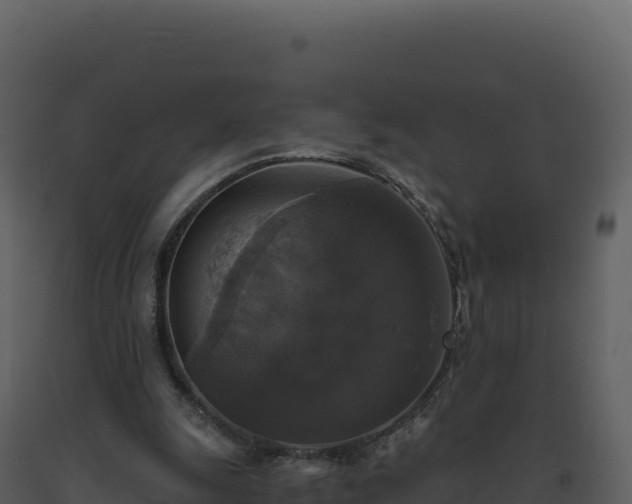 X0000093490247200710191233