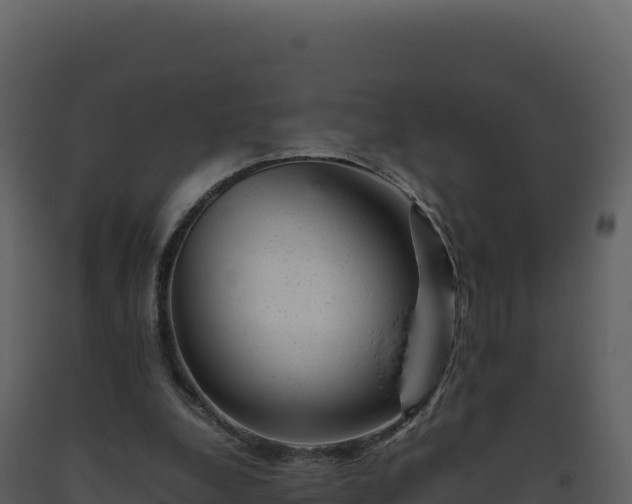 X0000093490248200710191233