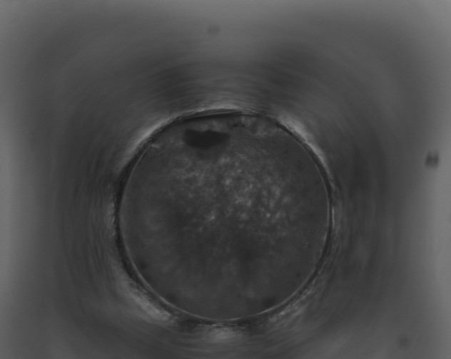 X0000093490249200710191233