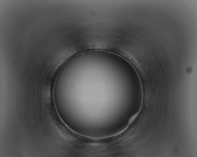 X0000093490251200710191233