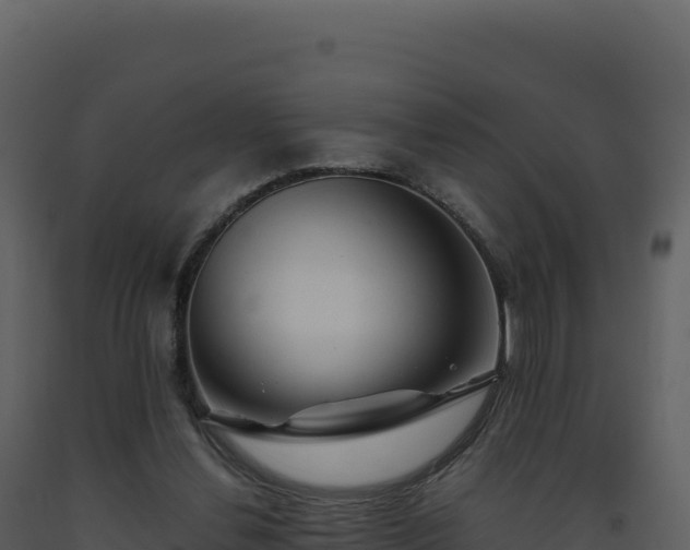 X0000093490252200710191233