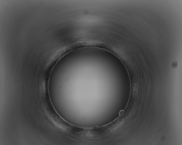 X0000093490254200710191233