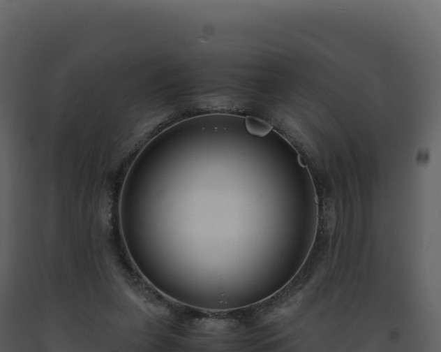 X0000093490255200710191233