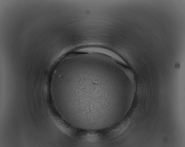 X0000093490256200710191233