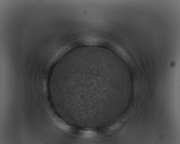 X0000093490258200710191233