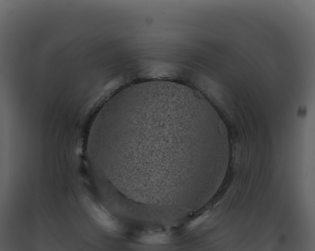 X0000093490260200710191233