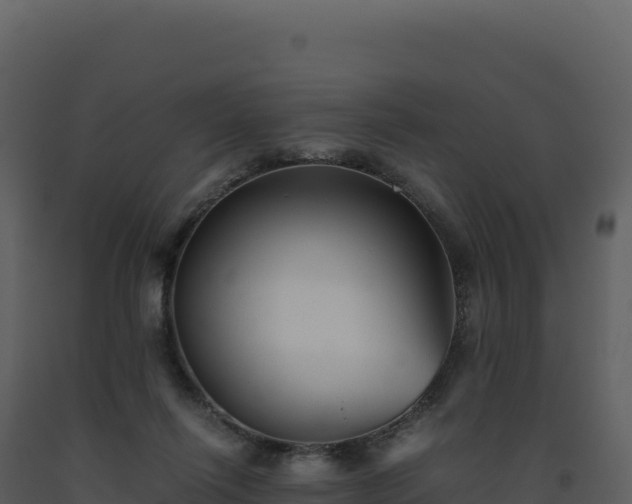 X0000093490262200710191233