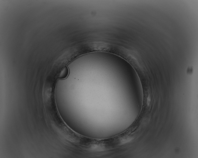 X0000093490263200710191233