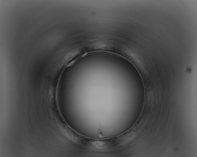 X0000093490265200710191233