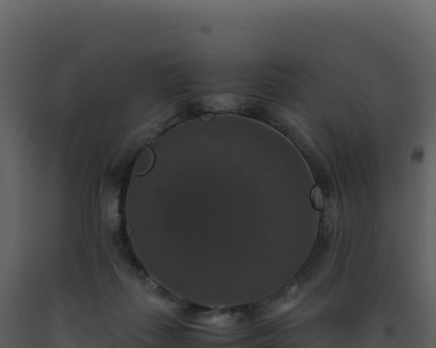 X0000093490267200710191233